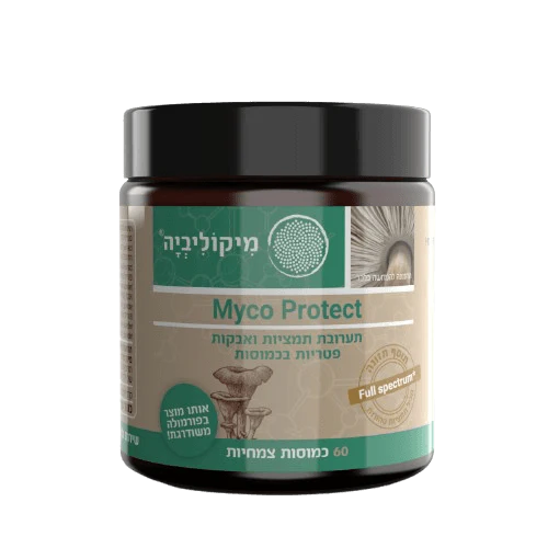 תמונת מוצר 1
