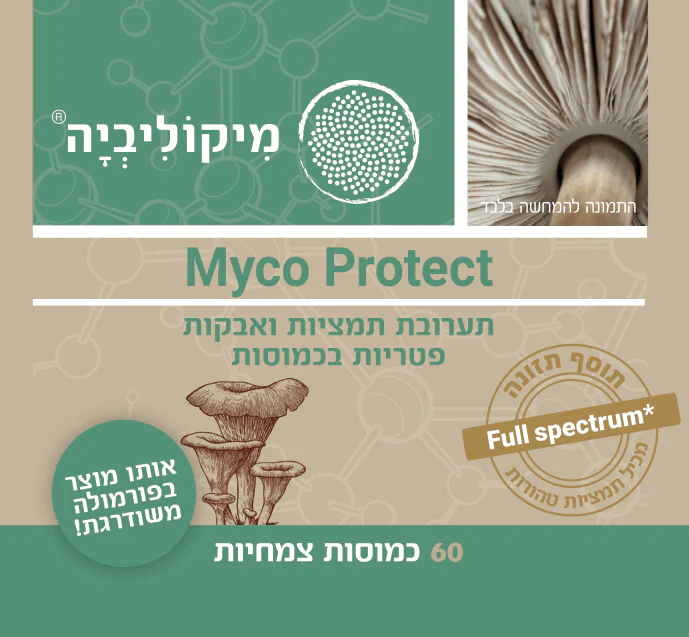 תמונת מוצר 3