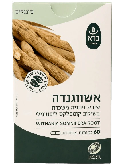 תמונת מוצר 1