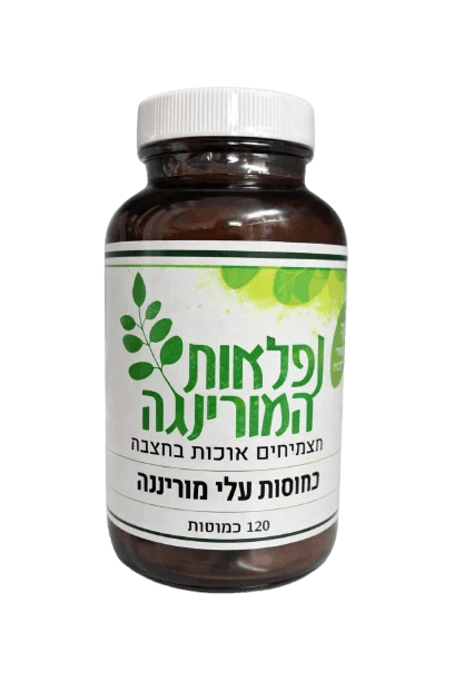 תמונת מוצר 1