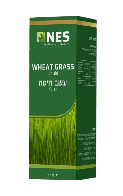תמונת מוצר 1