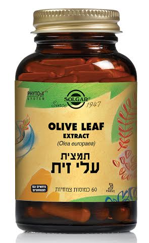 תמונה ממוזערת 1