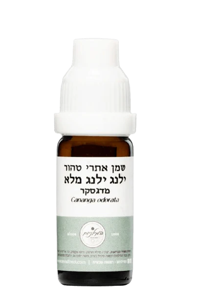 תמונת מוצר 1